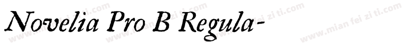 Novelia Pro B Regula字体转换